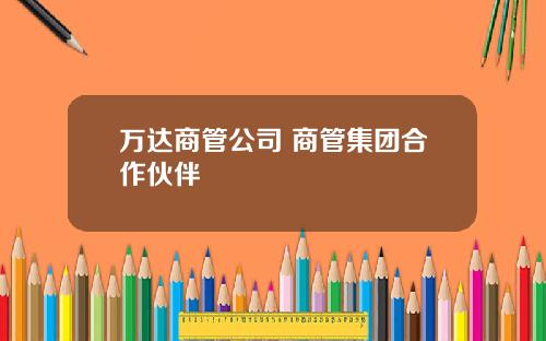 万达商管公司 商管集团合作伙伴