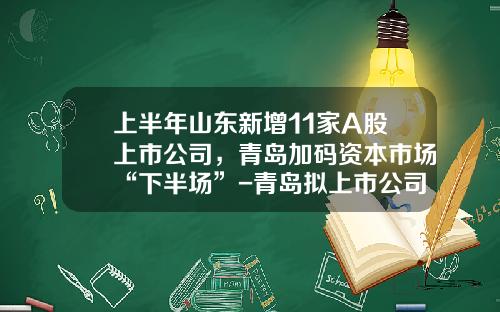 上半年山东新增11家A股上市公司，青岛加码资本市场“下半场”-青岛拟上市公司