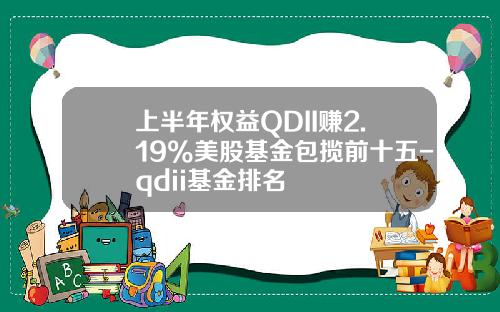 上半年权益QDII赚2.19%美股基金包揽前十五-qdii基金排名