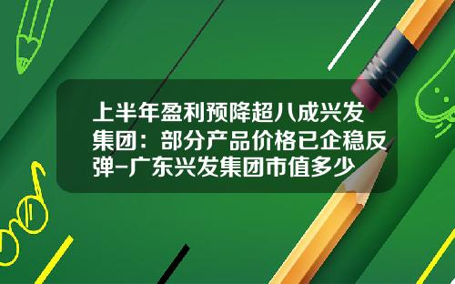 上半年盈利预降超八成兴发集团：部分产品价格已企稳反弹-广东兴发集团市值多少