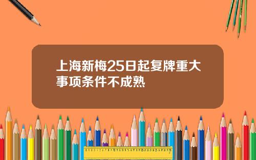 上海新梅25日起复牌重大事项条件不成熟