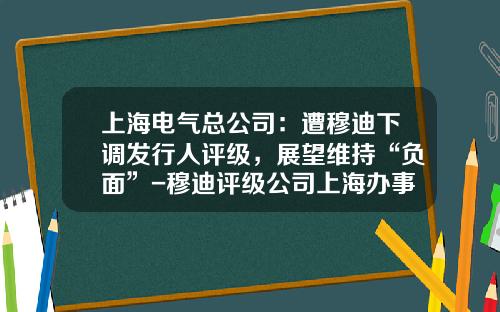 上海电气总公司：遭穆迪下调发行人评级，展望维持“负面”-穆迪评级公司上海办事处