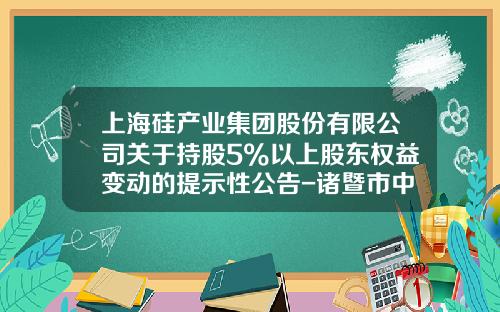 上海硅产业集团股份有限公司关于持股5%以上股东权益变动的提示性公告-诸暨市中融进出口有限公司