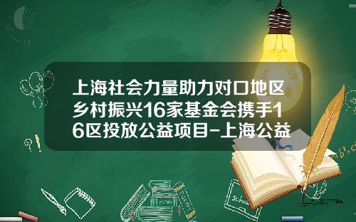 上海社会力量助力对口地区乡村振兴16家基金会携手16区投放公益项目-上海公益基金会