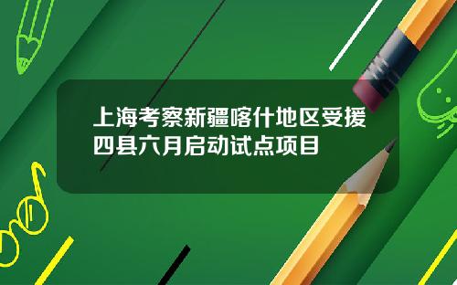 上海考察新疆喀什地区受援四县六月启动试点项目