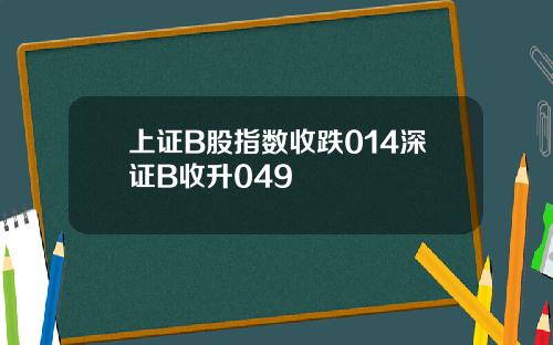 上证B股指数收跌014深证B收升049