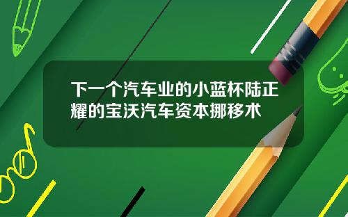 下一个汽车业的小蓝杯陆正耀的宝沃汽车资本挪移术