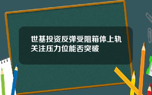 世基投资反弹受阻箱体上轨关注压力位能否突破