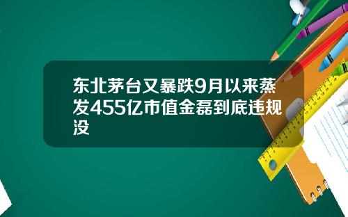 东北茅台又暴跌9月以来蒸发455亿市值金磊到底违规没