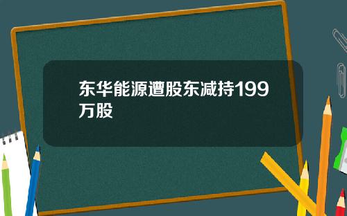 东华能源遭股东减持199万股