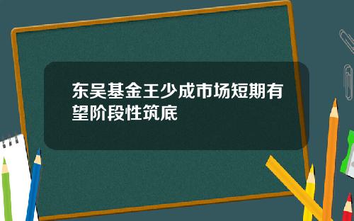 东吴基金王少成市场短期有望阶段性筑底