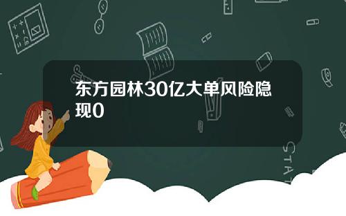 东方园林30亿大单风险隐现0