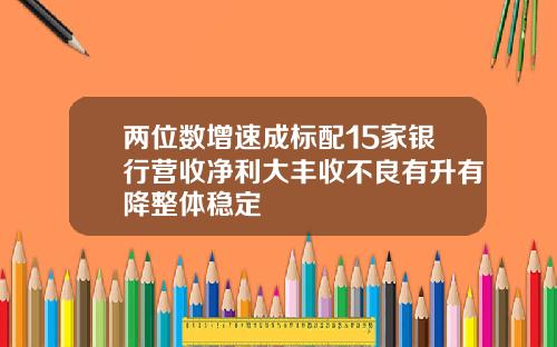 两位数增速成标配15家银行营收净利大丰收不良有升有降整体稳定