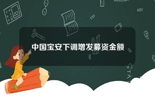 中国宝安下调增发募资金额