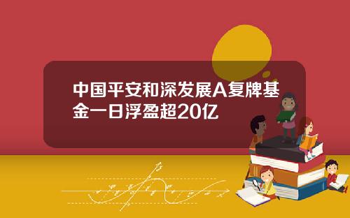 中国平安和深发展A复牌基金一日浮盈超20亿