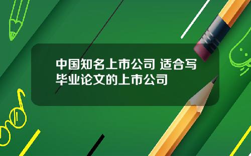 中国知名上市公司 适合写毕业论文的上市公司