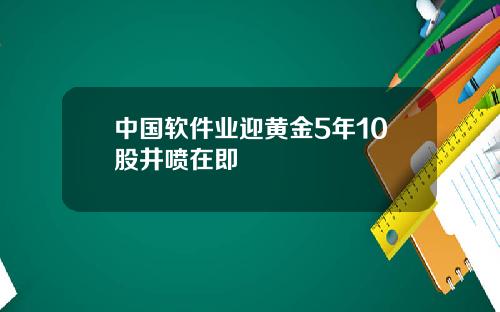 中国软件业迎黄金5年10股井喷在即