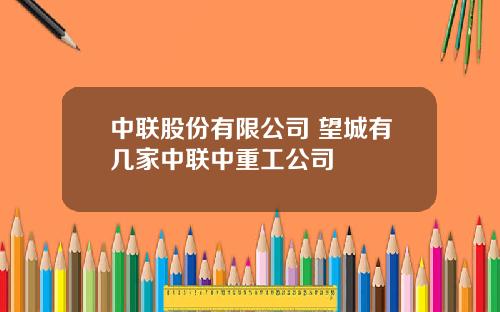 中联股份有限公司 望城有几家中联中重工公司