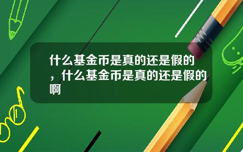 什么基金币是真的还是假的，什么基金币是真的还是假的啊