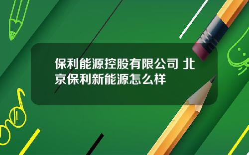 保利能源控股有限公司 北京保利新能源怎么样