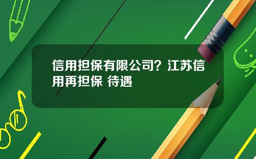 信用担保有限公司？江苏信用再担保 待遇