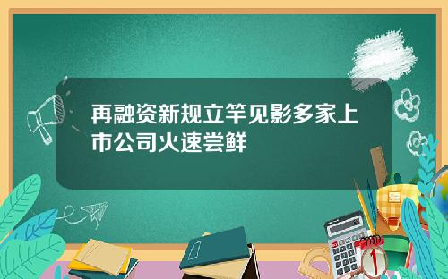 再融资新规立竿见影多家上市公司火速尝鲜