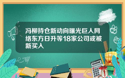 冯柳持仓新动向曝光巨人网络东方日升等18家公司或被新买入