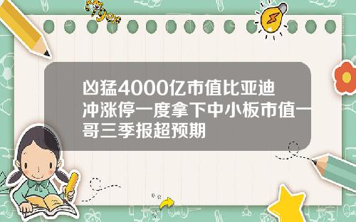 凶猛4000亿市值比亚迪冲涨停一度拿下中小板市值一哥三季报超预期