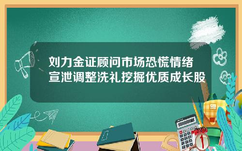 刘力金证顾问市场恐慌情绪宣泄调整洗礼挖掘优质成长股