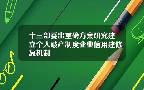 十三部委出重磅方案研究建立个人破产制度企业信用建修复机制