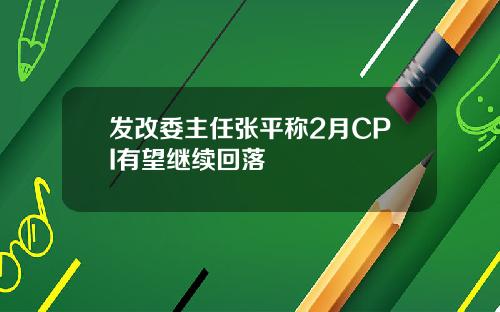 发改委主任张平称2月CPI有望继续回落