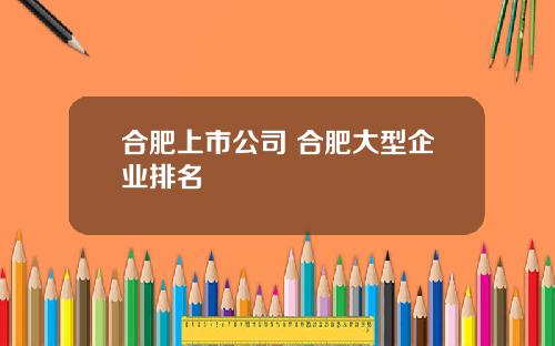 合肥上市公司 合肥大型企业排名