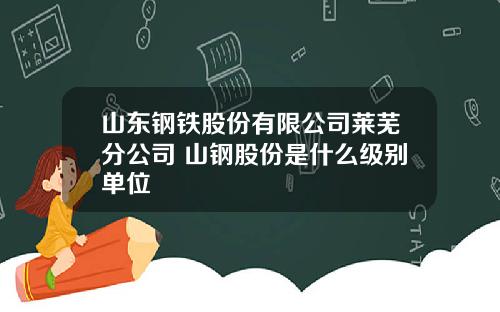 山东钢铁股份有限公司莱芜分公司 山钢股份是什么级别单位