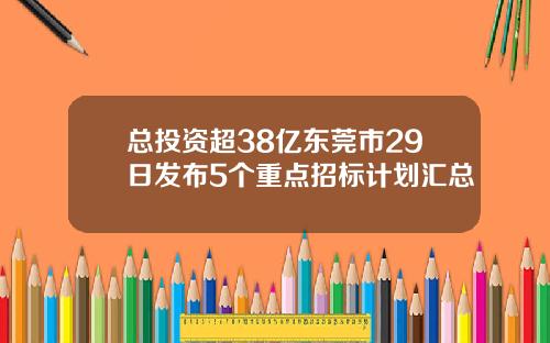 总投资超38亿东莞市29日发布5个重点招标计划汇总