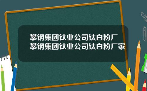 攀钢集团钛业公司钛白粉厂攀钢集团钛业公司钛白粉厂家