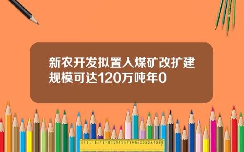 新农开发拟置入煤矿改扩建规模可达120万吨年0