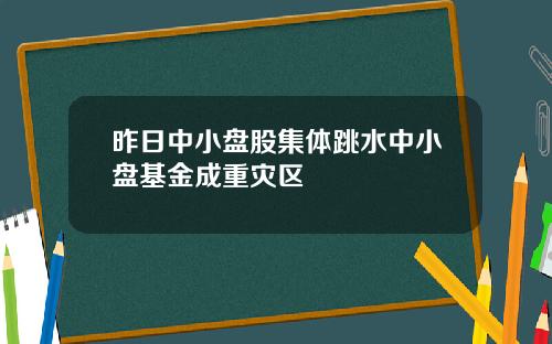 昨日中小盘股集体跳水中小盘基金成重灾区