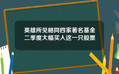 英雄所见略同四家著名基金二季度大幅买入这一只股票