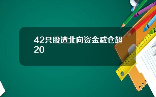 42只股遭北向资金减仓超20