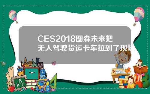 CES2018图森未来把无人驾驶货运卡车拉到了现场