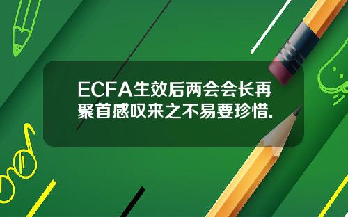 ECFA生效后两会会长再聚首感叹来之不易要珍惜.