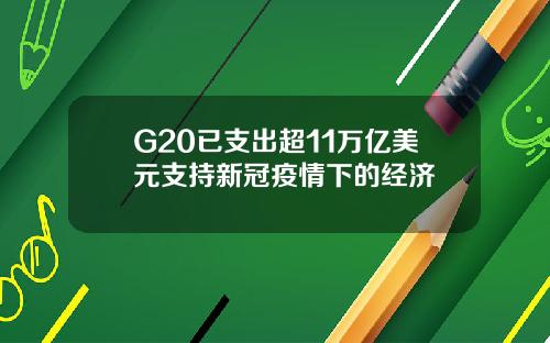 G20已支出超11万亿美元支持新冠疫情下的经济