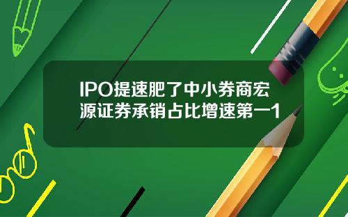 IPO提速肥了中小券商宏源证券承销占比增速第一1