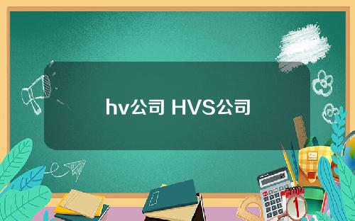 hv公司 HVS公司