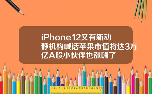 iPhone12又有新动静机构喊话苹果市值将达3万亿A股小伙伴也涨嗨了