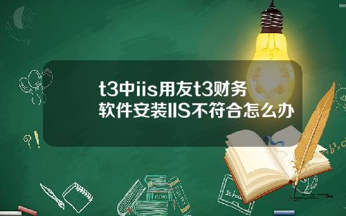 t3中iis用友t3财务软件安装IIS不符合怎么办