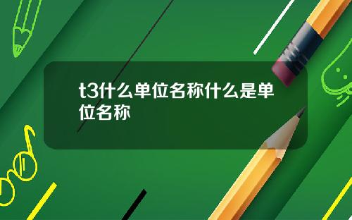 t3什么单位名称什么是单位名称