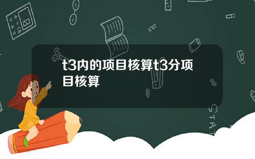 t3内的项目核算t3分项目核算