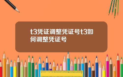 t3凭证调整凭证号t3如何调整凭证号