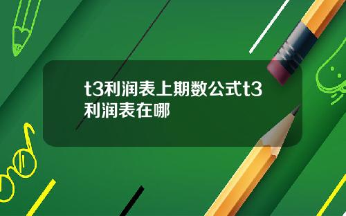 t3利润表上期数公式t3利润表在哪